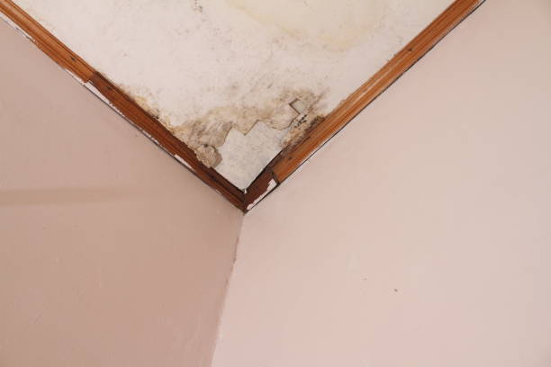 istock the ceiling of the house that is broken 1708957625