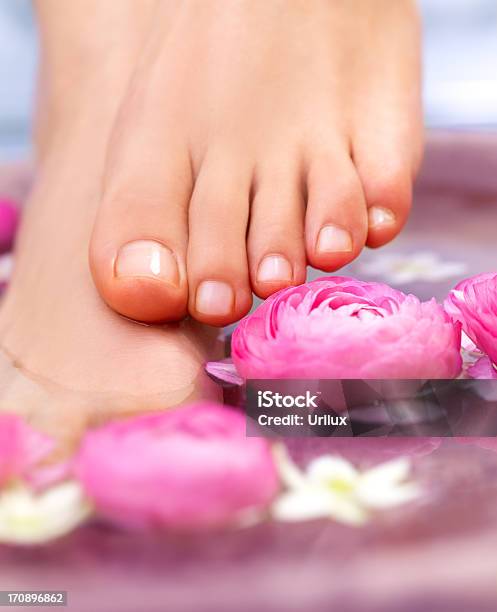 Decoração Natural Para Um Amimar Pedicure - Fotografias de stock e mais imagens de Spa - Spa, Adulto, Aromaterapia