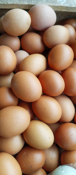 istock Piles of chicken eggs in a basket 1709060509