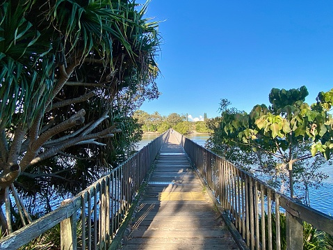 Horizontal  vanishing point of rustic timber wood footbridge walkway over salt water river with green tropical pandanus trees and blue clear sky