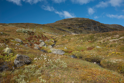 Hiking trail passes stream of water (small river) in autumn colored mountains after first snowfall of the season in Jotunheimen National Park in Norway. The snow of last season is still melting in some parts of the mountains. The image was captured with a full frame DSLR camera and a sharp fast lens.