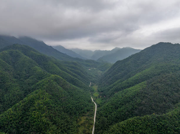 istock mountain road in the mountains 1709103577