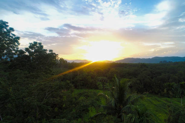 istock Aerial view mountain sunrise in tropical forest with cloud 1709121202