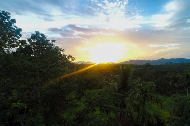 istock Aerial view mountain sunrise in tropical forest with cloud 1709121204