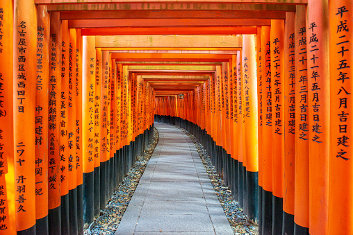 Torii gates in Fushimi Inari Shrine, Kyoto, Japan