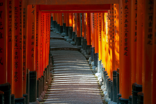 Kyoto, Japan - January 03, 2020: Way of Thousands of Torii Gates in  Fushimi Inari Shrine Temple