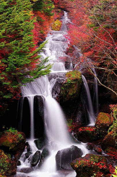 cascata in autunno all'alba di nikko - water beauty in nature waterfall nikko foto e immagini stock