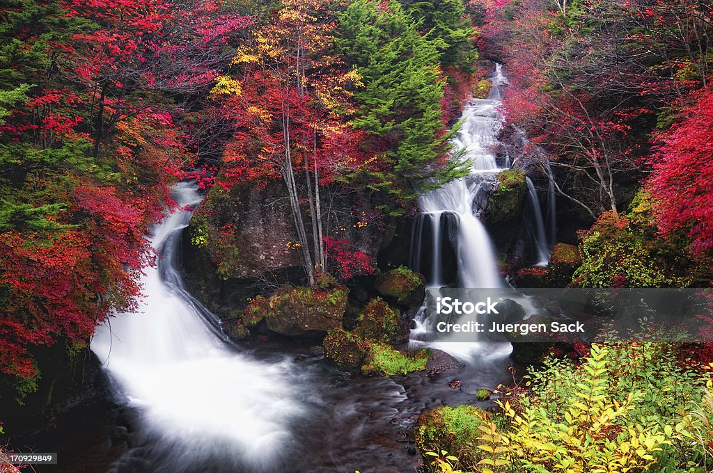 Ryuzu Falls w jesień o świcie - Zbiór zdjęć royalty-free (Japonia)