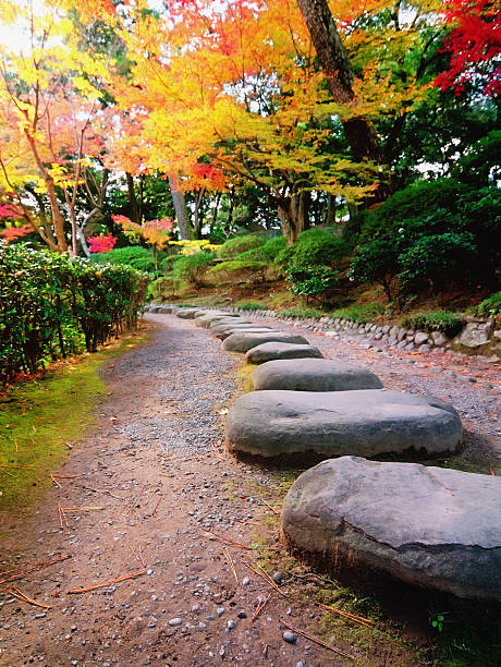 outono na esquina - footpath tree japan stepping stone - fotografias e filmes do acervo