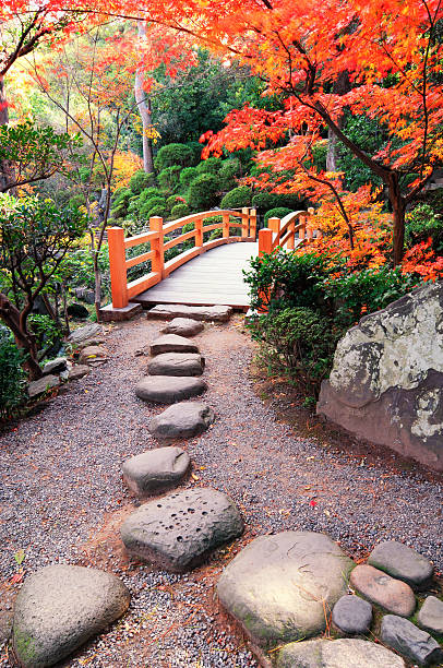 maneiras de outono - footpath tree japan stepping stone - fotografias e filmes do acervo