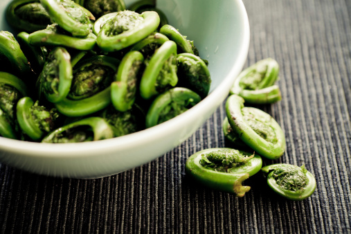 Fiddlehead fern. The harvest take place during spring. The fiddlehead fern is a specialty of the canadian traditional cuisine. 