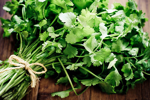 restaurant cilantro - fresh coriander photos et images de collection