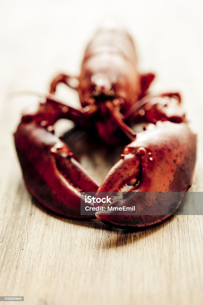 Homard - Photo de Aliment libre de droits