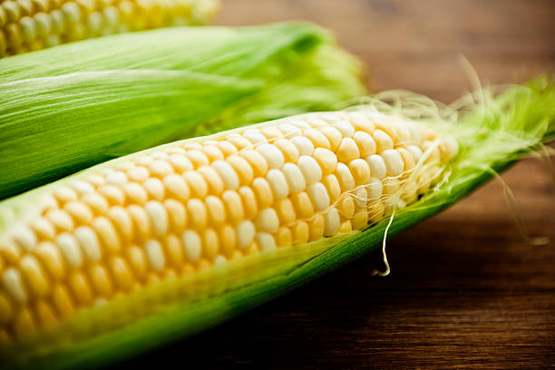 Corn on the cob stock photo
