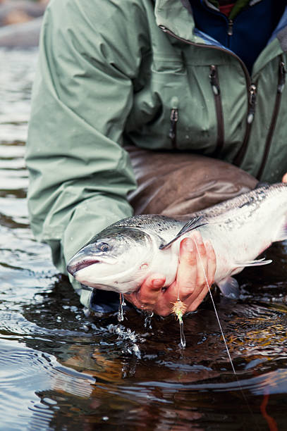 フライフィッシング - fly fishing fishing river fisherman ストックフォトと画像