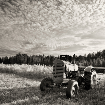 A vintage farm tractor sits in the corner of a field under a mackerel sky.