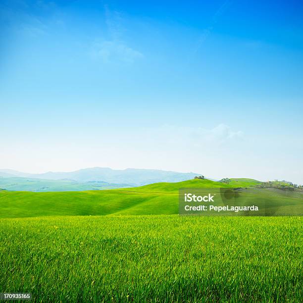 美しいトスカーナのフィールド - Horizonのストックフォトや画像を多数ご用意 - Horizon, イタリア, カラー画像
