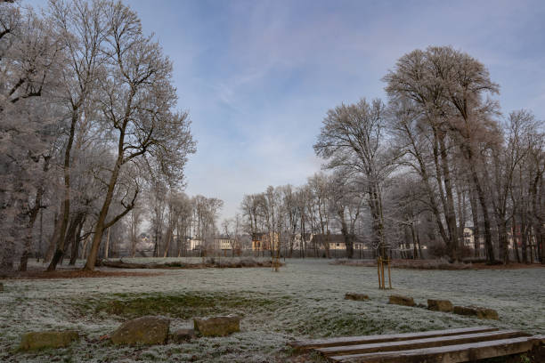 istock Hoar frost on trees and grass in a park on a clear winter day 1709357614