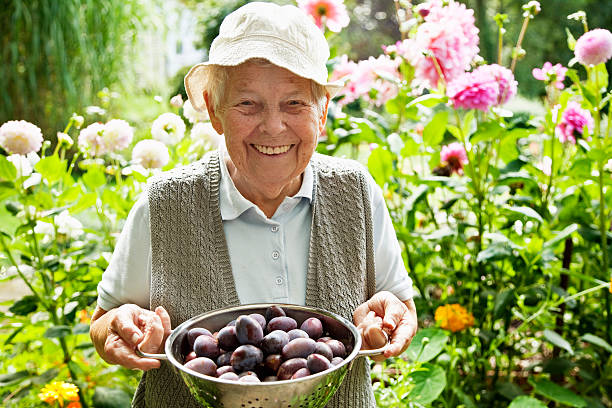 happy senior woman ガーデニング - women large build gardening outdoors ストックフォトと画像