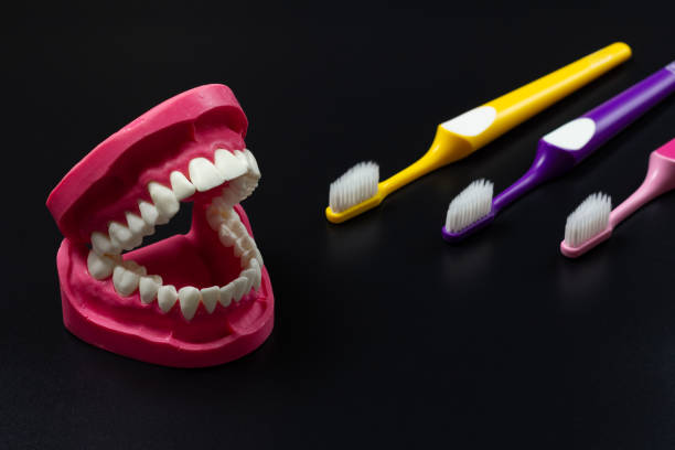 istock Toothbrushes and layout of human jaw on the black background. 1709446071