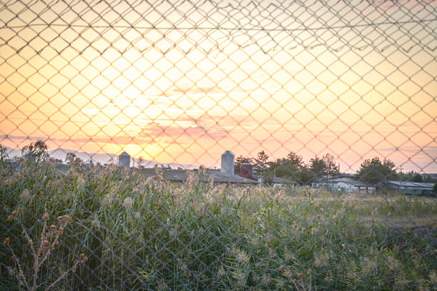 istock Sunset fields near Sveti Nikole, Macedonia 1709447726