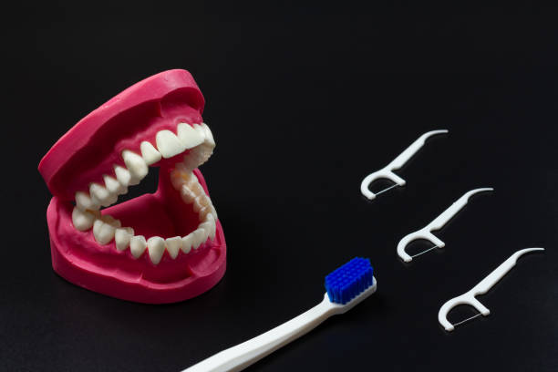istock Human jaw layout, toothbrush and flossing toothpicks. 1709456602