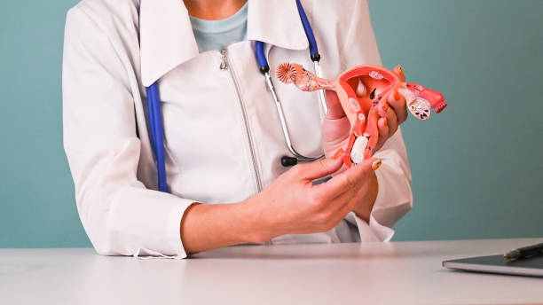 ginecóloga demostrando modelo de sistema reproductor femenino y tampón higiénico. concepto de salud e higiene femenina de la mujer. - menstruation tampon gynecological examination sex fotografías e imágenes de stock