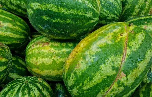 A pile of watermelons at store
