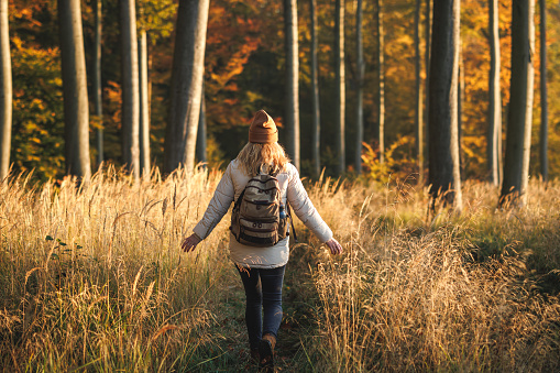 Hiking in autumn woodland. Woman with backpack walking on footpath in woods