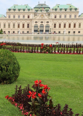 Vienna, WIEN, Austria - August 23, 2023: lowers in the garden and Belvedere Castle
