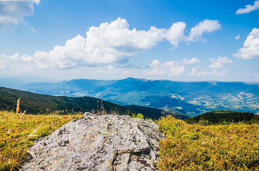 Beautiful view of the Ukrainian Carpathians to the mountains and valleys. Rocky peaks and wood of the Carpathians in late summer. Yellow and green grass, and wildflowers on the mountain slopes.