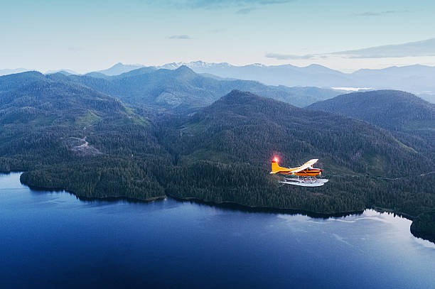 Twilight Flight A seaplane flies over Southern Alaska in twilight.  Shot at high iso with slight grain. bush plane stock pictures, royalty-free photos & images