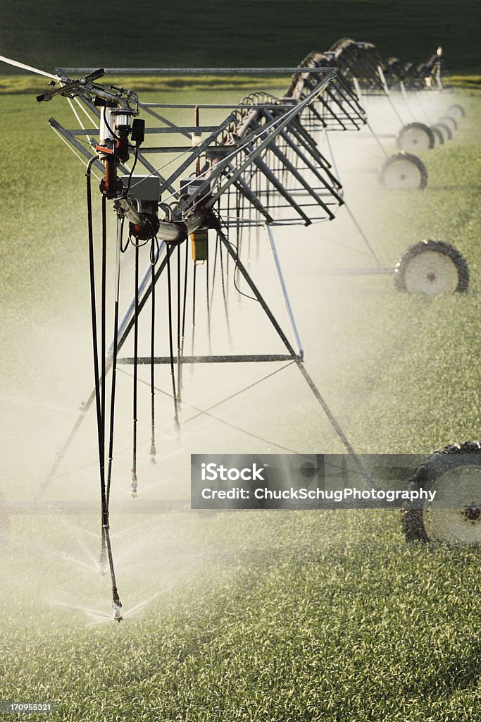 농업 살수 관개 크롭 뿌리다 - 로열티 프리 관개 장비 스톡 사진
