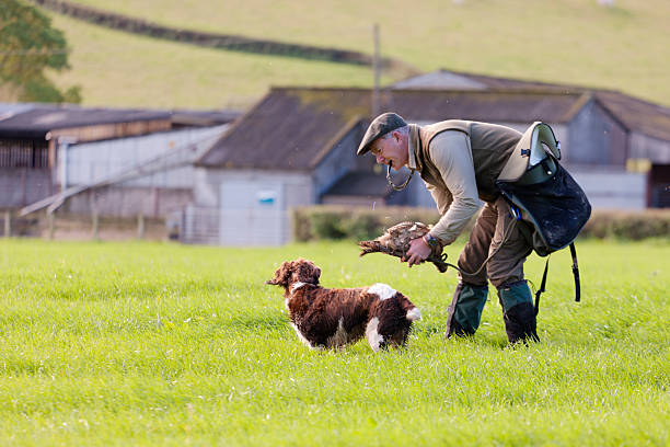 wildhüter lob seinem hund - pheasant hunter stock-fotos und bilder