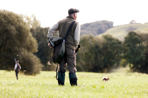 A Gamekeeper watching his dog, a second hunter to the left of the scene, Devon, UK