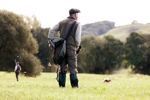 Gamekeeper with dog A Gamekeeper watching his dog, a second hunter to the left of the scene, Devon, UK estate worker stock pictures, royalty-free photos & images