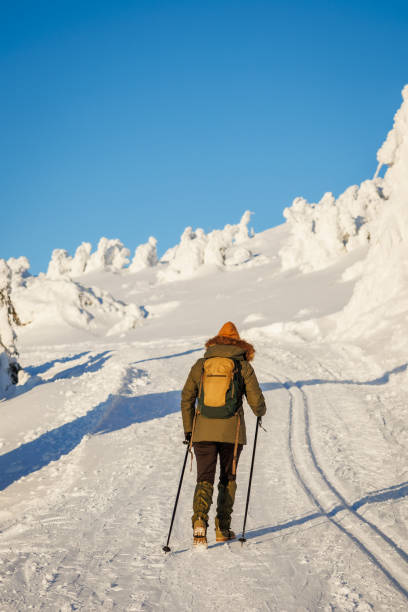 istock Nordic walking in snowy mountains. Female hiker with backpack 1709599020