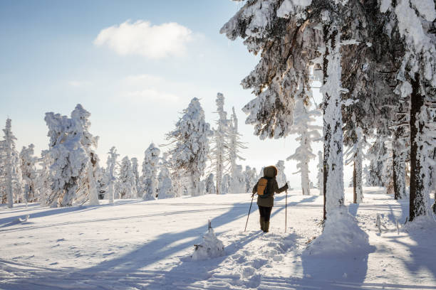 istock Hiking in snowy mountain forest 1709599023