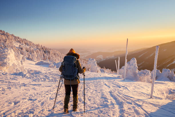 istock Nordic walking in snowy mountain peak 1709599035