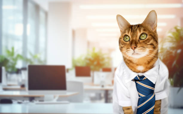 Funny red cat in a suit in the office at the workplace. Cat businessman or office worker.