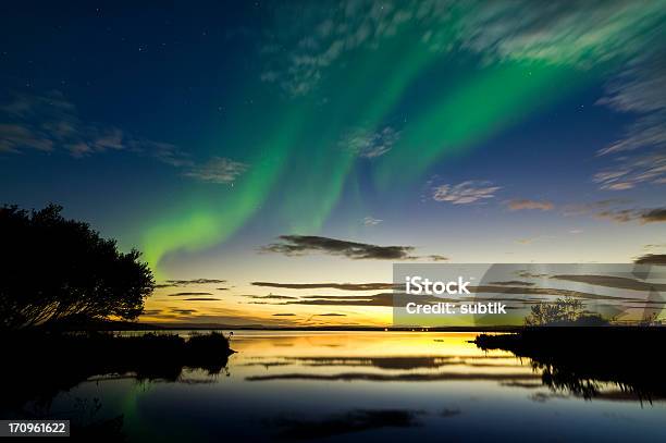 Aurora Boreale In Islanda - Fotografie stock e altre immagini di A forma di stella - A forma di stella, Alba - Crepuscolo, Albero