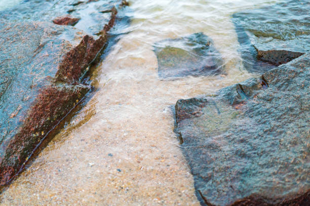 rocks in the sea on the beach