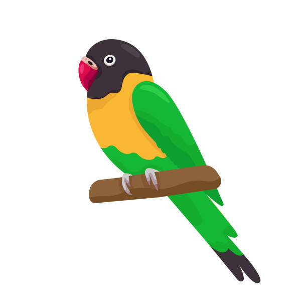 枝に座っている漫画のおかしな緑の愛の鳥。平らな小さなカラフルなエキゾチックなオウム。白い背景にベクターイラスト。tシャツ、ポスター、ブックカバー、バナーに適しています - branch bird flying pets点のイラスト素材／クリップアート素材／マンガ素材／アイコン素材