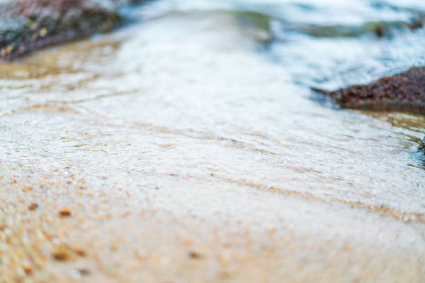 rocks in the sea on the beach