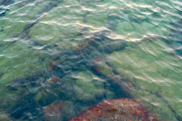 sea