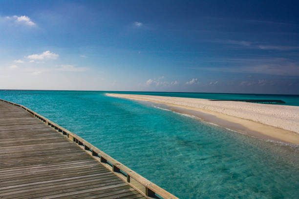 maldives avec vue sur l’eau et le banc de sable - patrick quay photos et images de collection