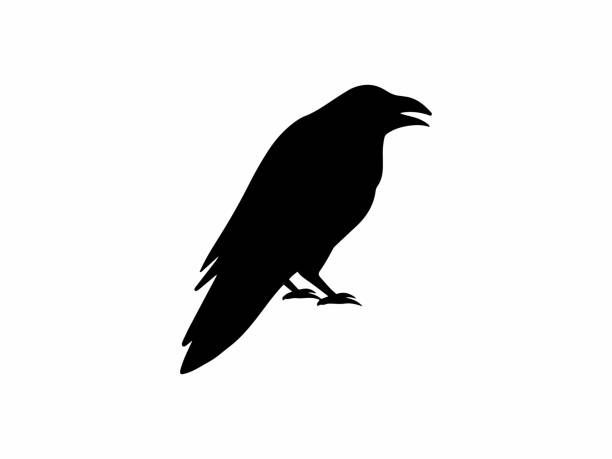 istock Halloween Bird for Decoration. Scary Crow Halloween Silhouette Illustration. Horror Halloween Crow Line Art. Spooky Crow Halloween Black and White 1709641284