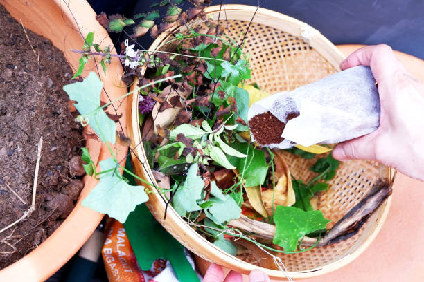 istock Recycling and sustainability:: Wormicompost Organic compost fertilizer 1709641288