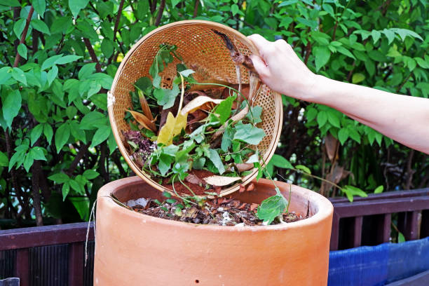 istock Hand carrying bin scraps.  Throwing kitchen waste in the garden bin as an organic fertilizer. Idea of composing and recycling food waste. Compost organic fertilizer 1709642390