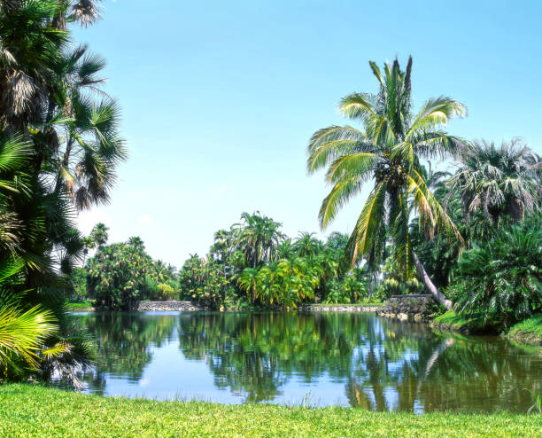 istock Fairchild Tropical Gardens Miami Florida 1709657528
